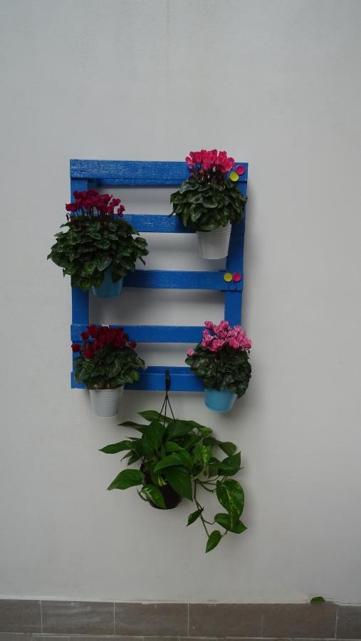 Il Giardino Segreto Apartment Палермо Екстериор снимка
